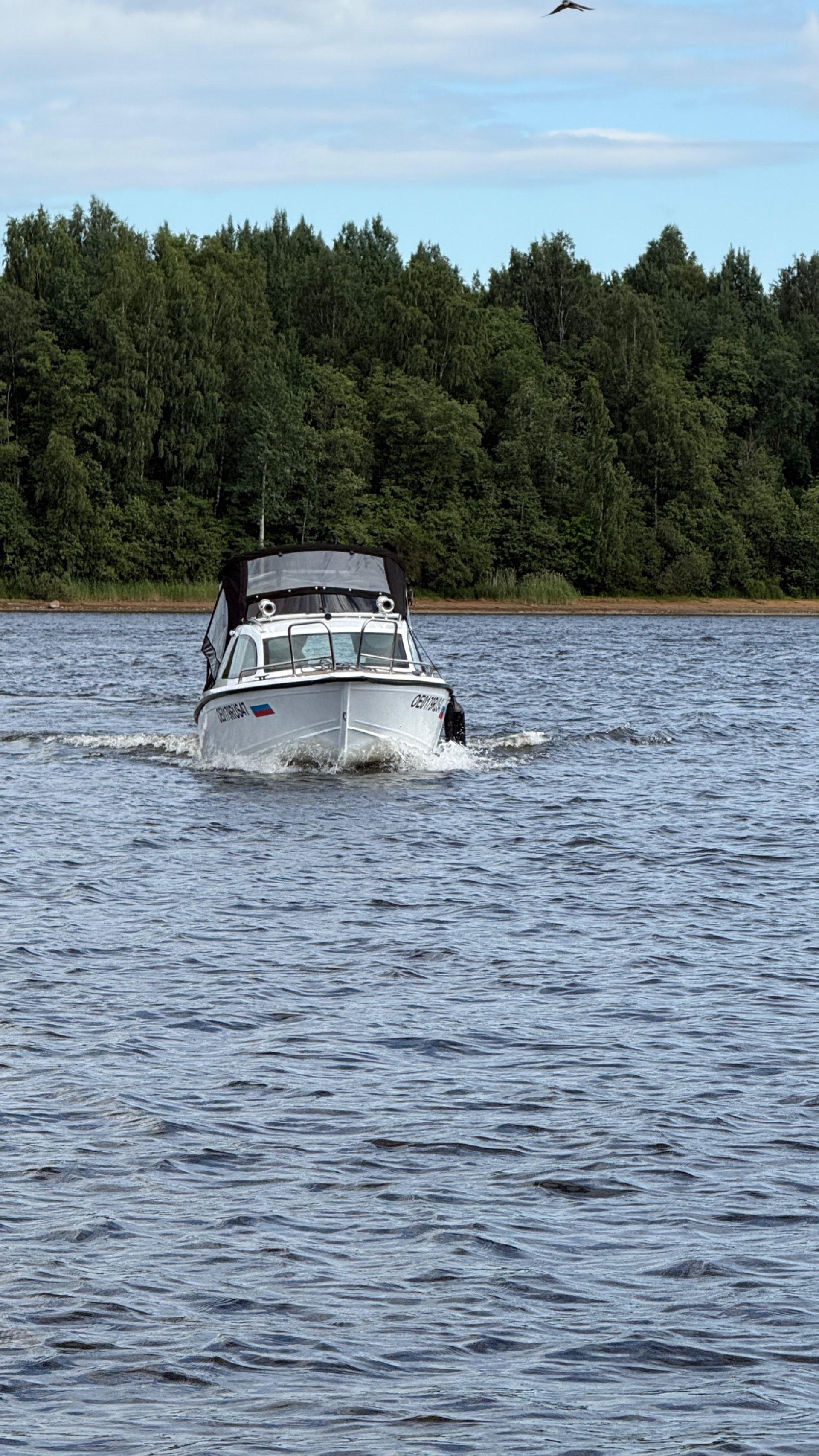 Grizzly 520 HT