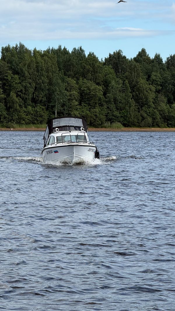 Grizzly 520 HT